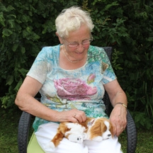 Hundehvalpen Bjarne